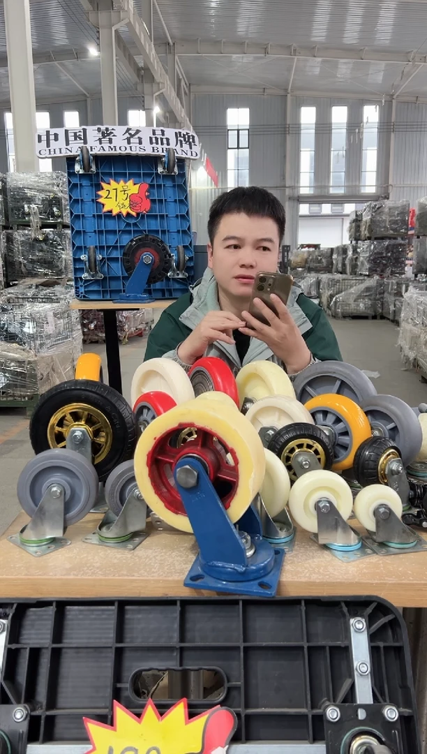 一梦哥专属  铁芯尼龙  8寸  4个万向4发个万向带刹车