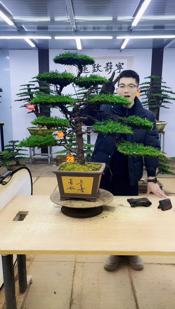 无花朵张?000000000000000000000