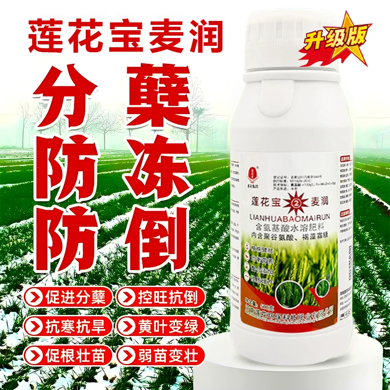 莲花宝麦润新升级抗寒聚谷氨酸褐藻寡糖肥促分蘖小麦叶面肥料