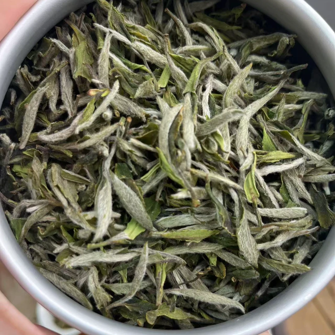 25年金奖牡丹王 获奖编号：2945000042