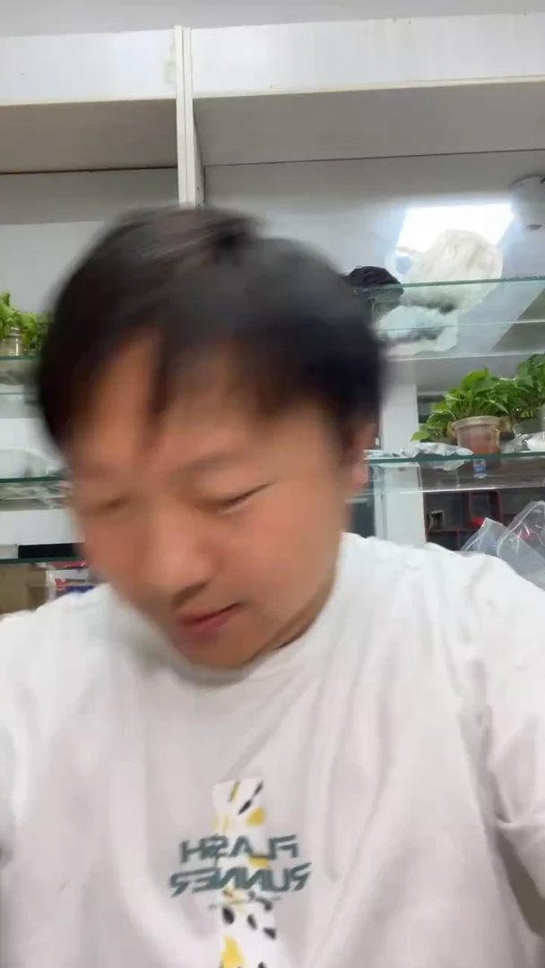 石英质玉未镶嵌颈饰平安扣