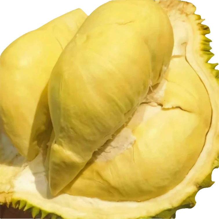 【现剥】金枕榴莲果肉/新鲜榴莲/核小/直播链接/1-5斤/一物一拍金枕
