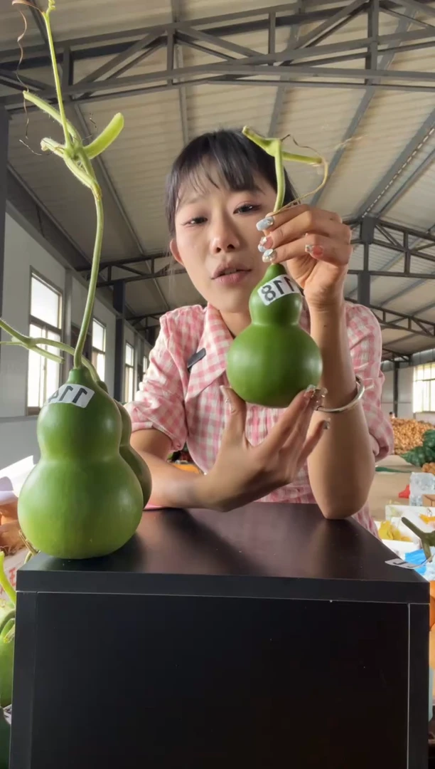 118天然葫芦摆件 一物一拍龙头不保售后花叶