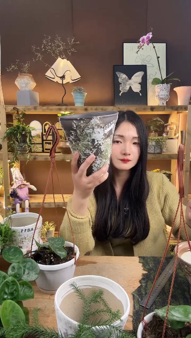 无花朵开****奥编号  685   景德镇手绘花盆