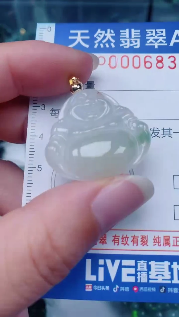 颈饰未镶嵌翡翠00006832