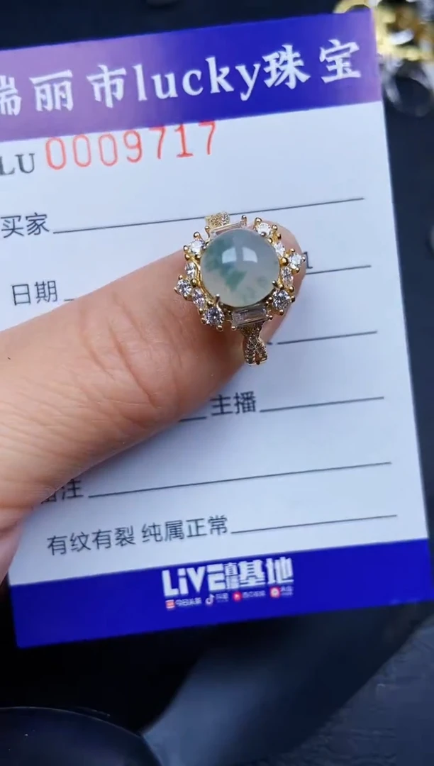 翡翠银S925镶嵌颈饰9717