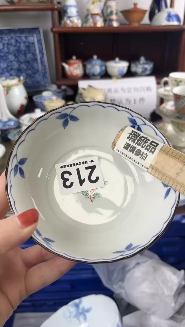 瓷片213............