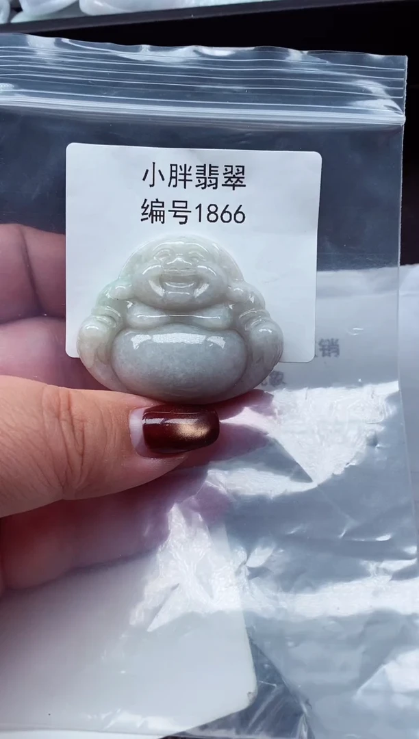 颈饰未镶嵌翡翠缅甸天然A货翡翠1866