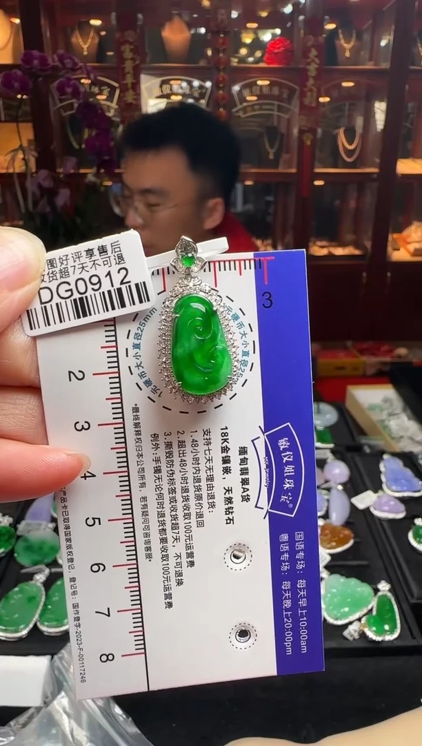 【闪购商品】翡翠颈饰18K金镶嵌/DG0912冰辣绿如意