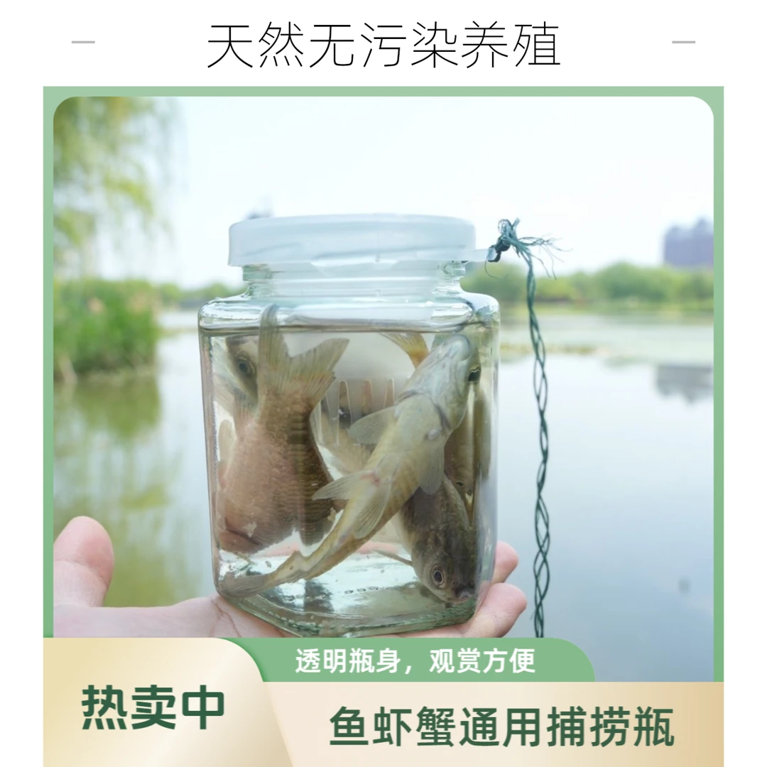 儿童户外抓鱼工具倒须设计防逃鱼透明瓶身方便观察便携耐用适合水