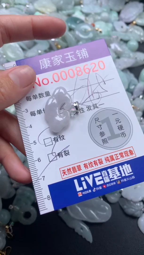 颈饰未镶嵌翡翠8620