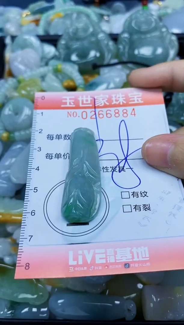 翡翠未镶嵌颈饰闪购0266884
