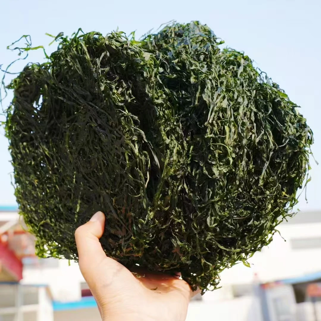 干海带丝无沙免切泡发率高可凉拌的干货一斤装