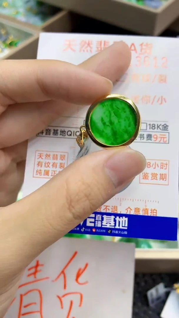 翡翠未镶嵌颈饰             1