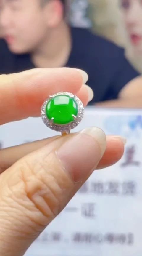 翡翠未镶嵌颈饰      *174