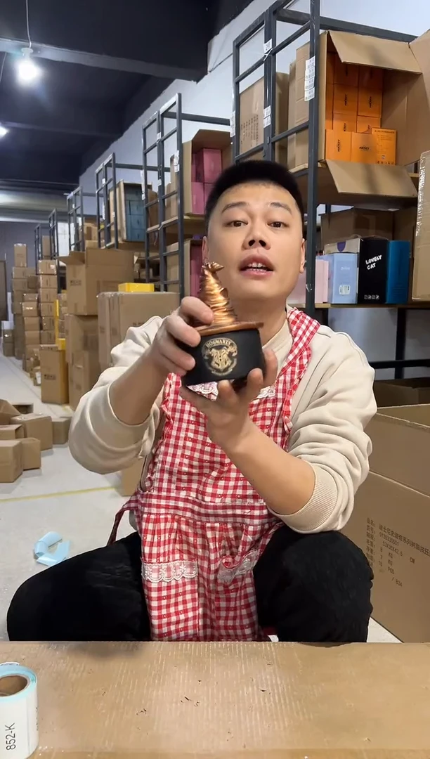 【闪购商品】杯哈利波特分院帽首饰盒