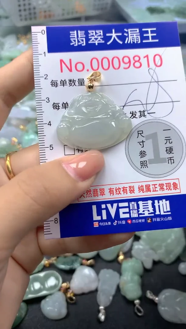 颈饰未镶嵌翡翠9810