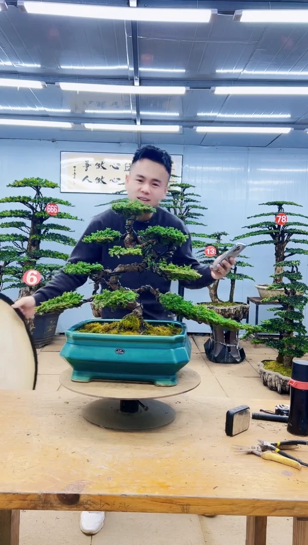 无花朵000000000000000000000000