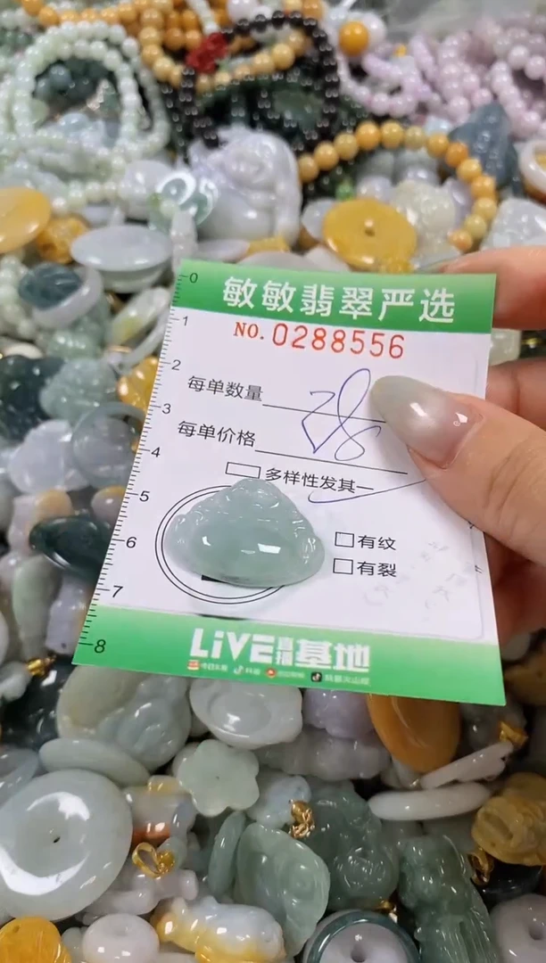 翡翠未镶嵌颈饰闪购0288556多样性发其一