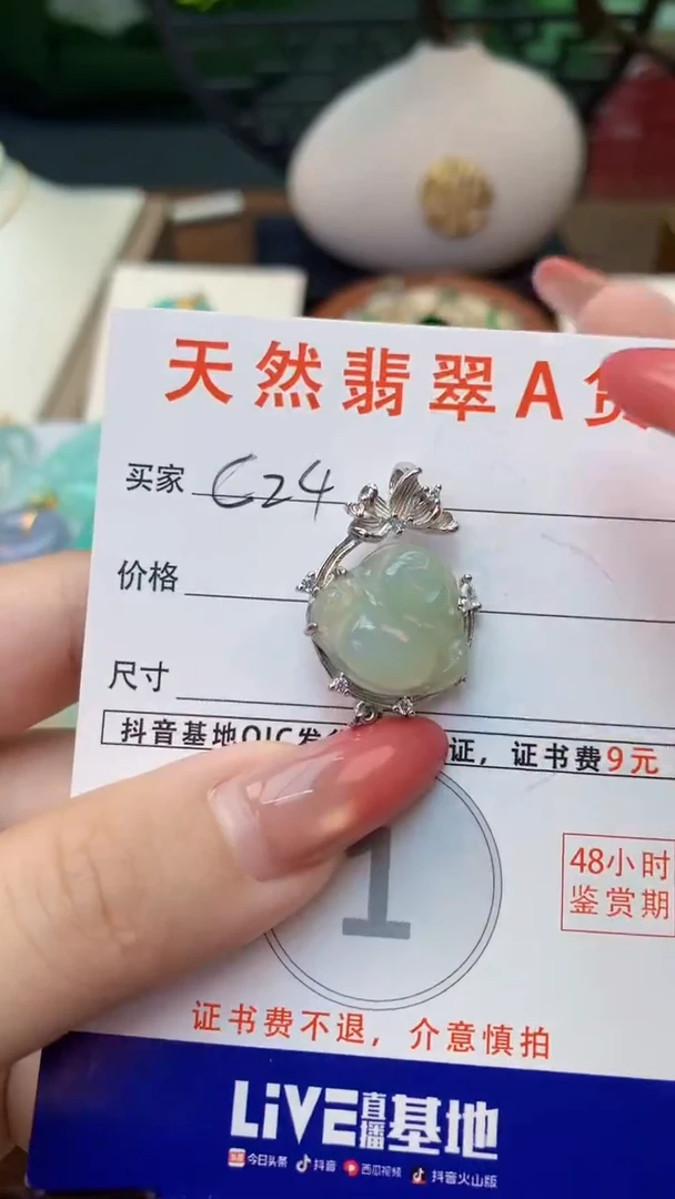 颈饰未镶嵌翡翠天然A货翡翠挂件