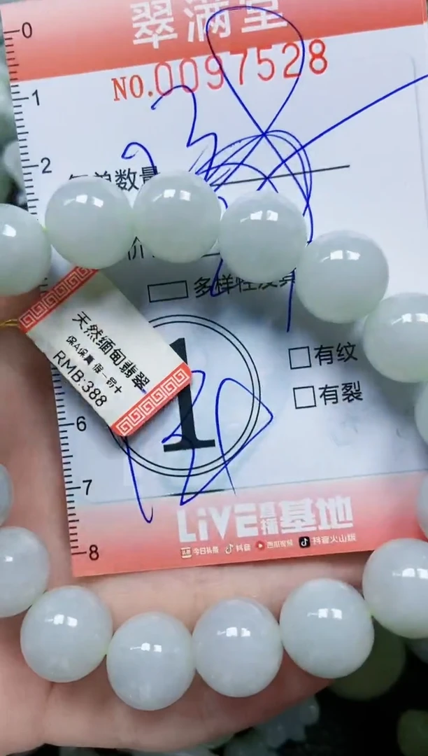 【闪购商品】翡翠颈饰未镶嵌闪购0097528