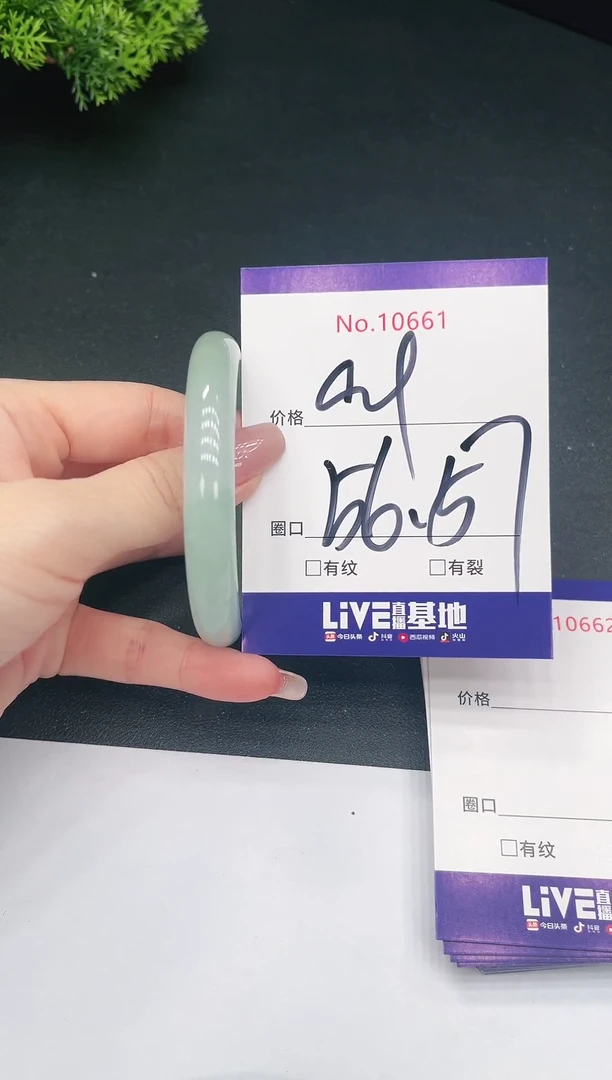 未镶嵌手镯翡翠10661