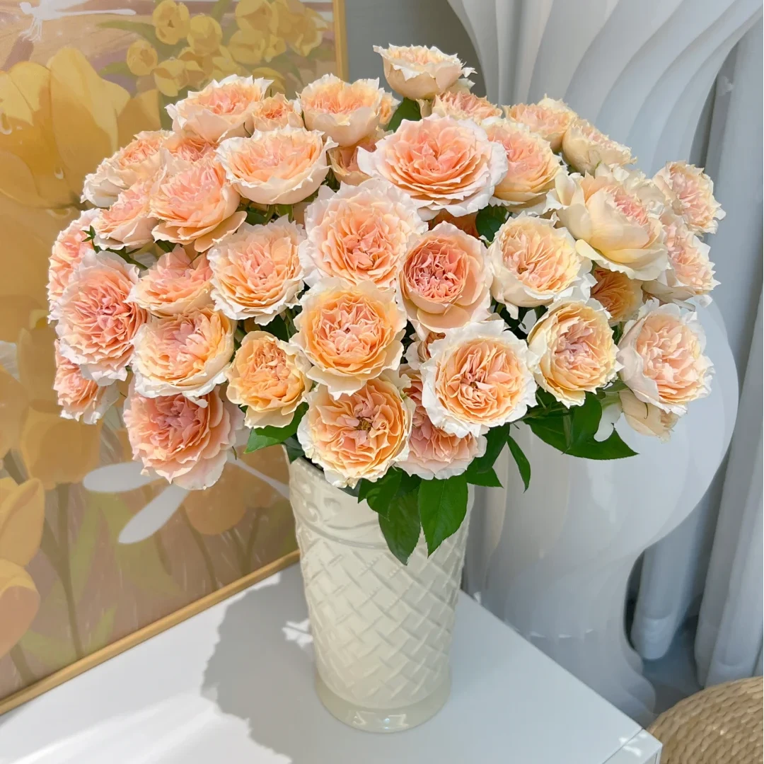 【杏色啦啦队AK】10枝多头玫瑰 基地直发 | 全场任意满两单鲜花包邮