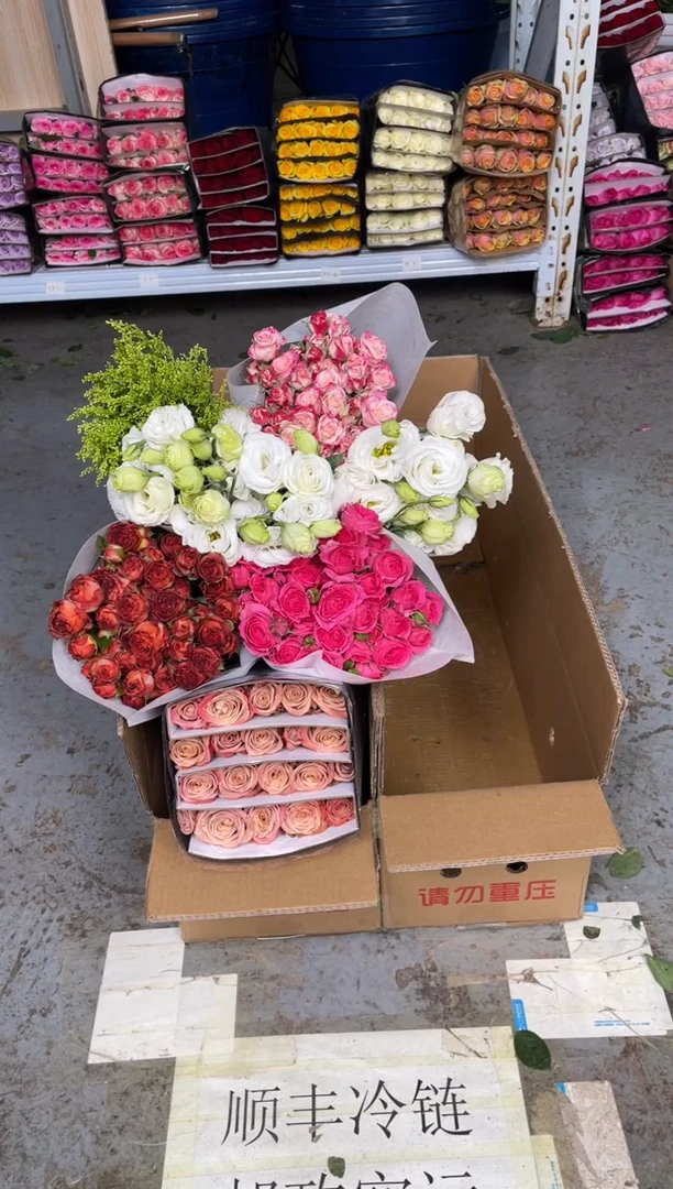 曼塔20枝+卡布20枝+巧克力10枝+苏菲10枝+折射+白桔梗800枝+黄莺