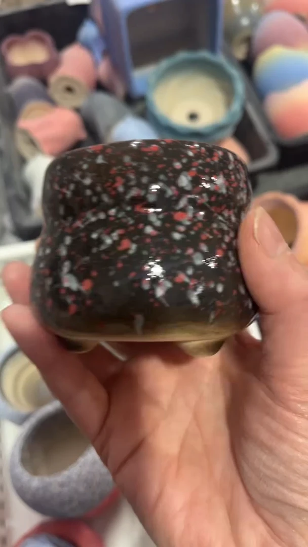 【闪购商品】红陶6*6