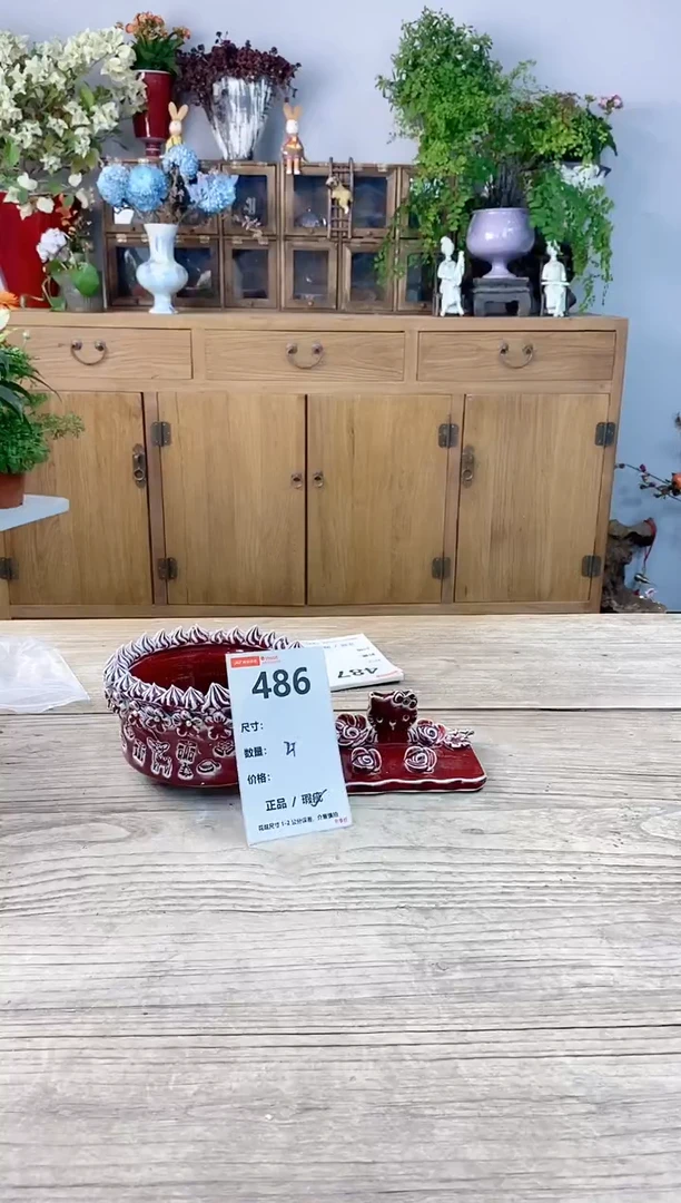 小玩子花盆直播号486