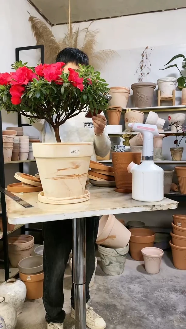 【闪购商品】红陶23*21玛奇朵 4盆4托