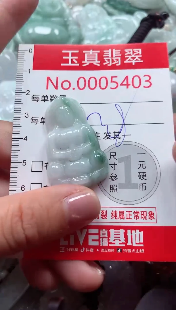 吊坠(不含链)未镶嵌翡翠5403