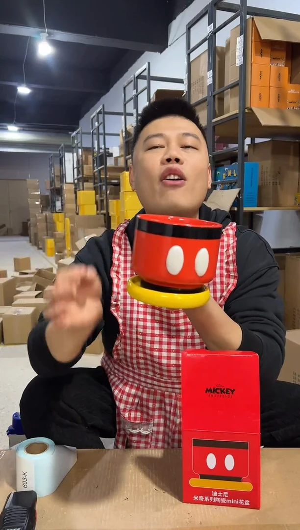 【闪购商品】杯陶瓷原盒米奇花盆