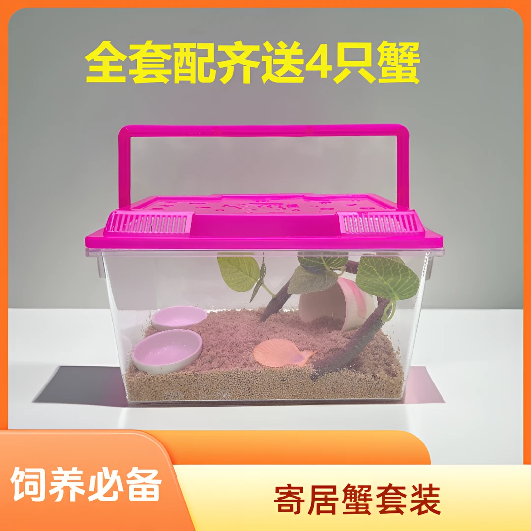 D301-400寄居蟹专用饲养箱全套中号手提透明盒子整套爬宠耐摔款