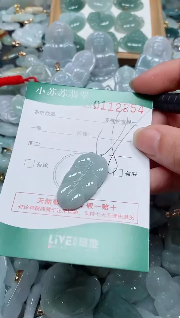 【闪购商品】翡翠颈饰未镶嵌闪购商品0112254