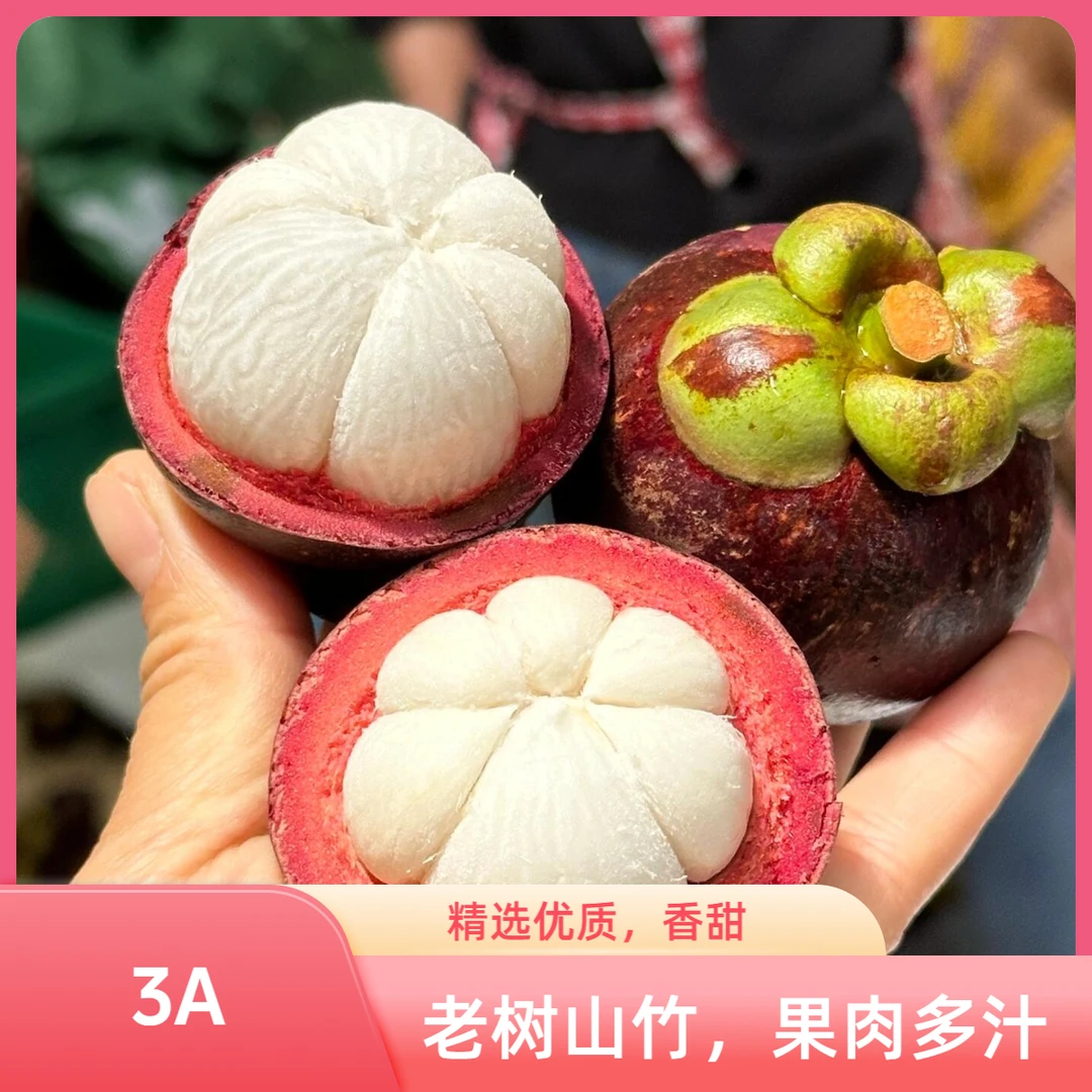 【3A】新鲜泰国老树山竹