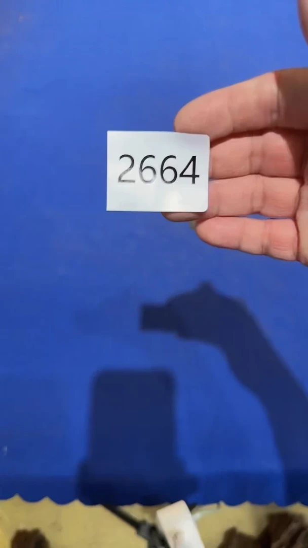 【闪购商品】日瓷回流字画放漏中