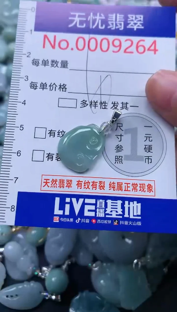 颈饰未镶嵌翡翠9264