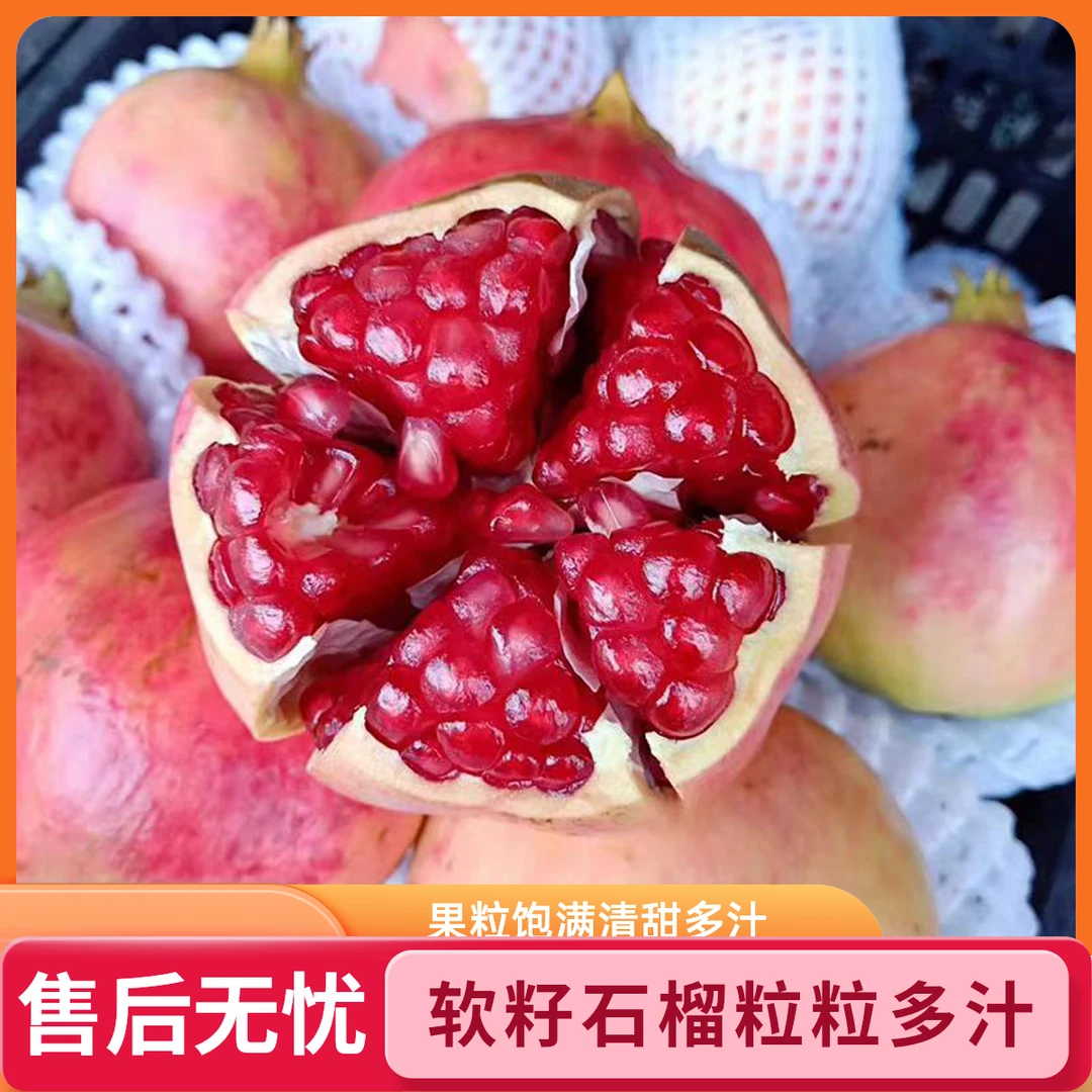 四川会理突尼斯软籽石榴，清甜多汁，果粒饱满，产地直发