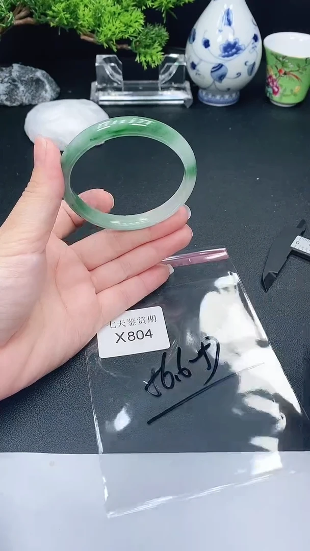 未镶嵌手镯翡翠804