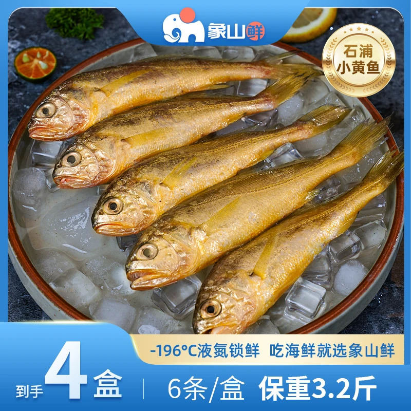 象山鲜东海原产小黄鱼液氮锁鲜6条/盒石浦海鲜水产3.2斤黄花鱼
