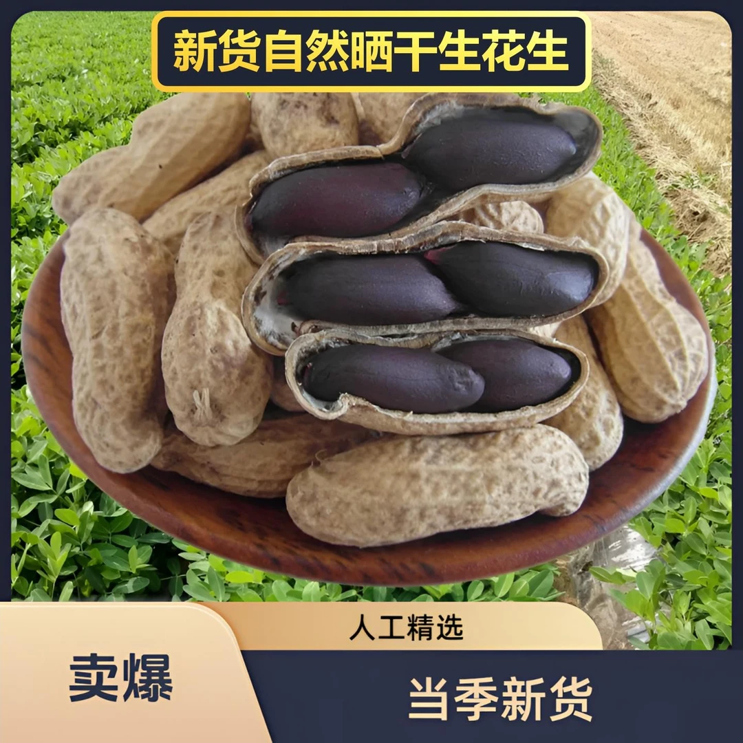 【新疆直发晒干生花生】沙漠种植带壳黑豆花生颗粒饱满全国包邮新货