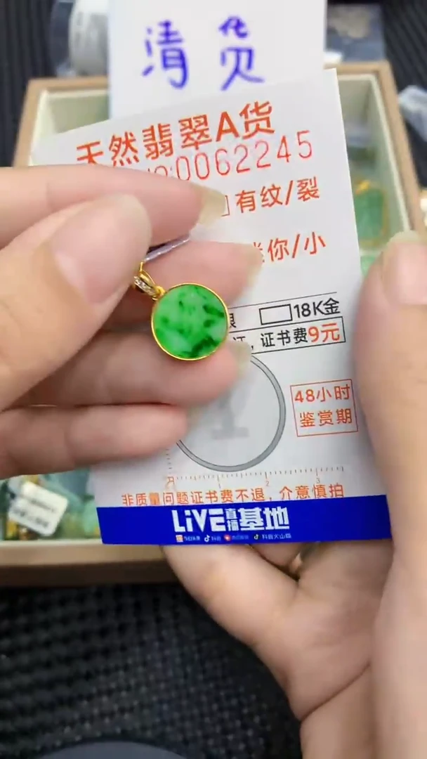 【闪购商品】翡翠颈饰银S925镶嵌            8