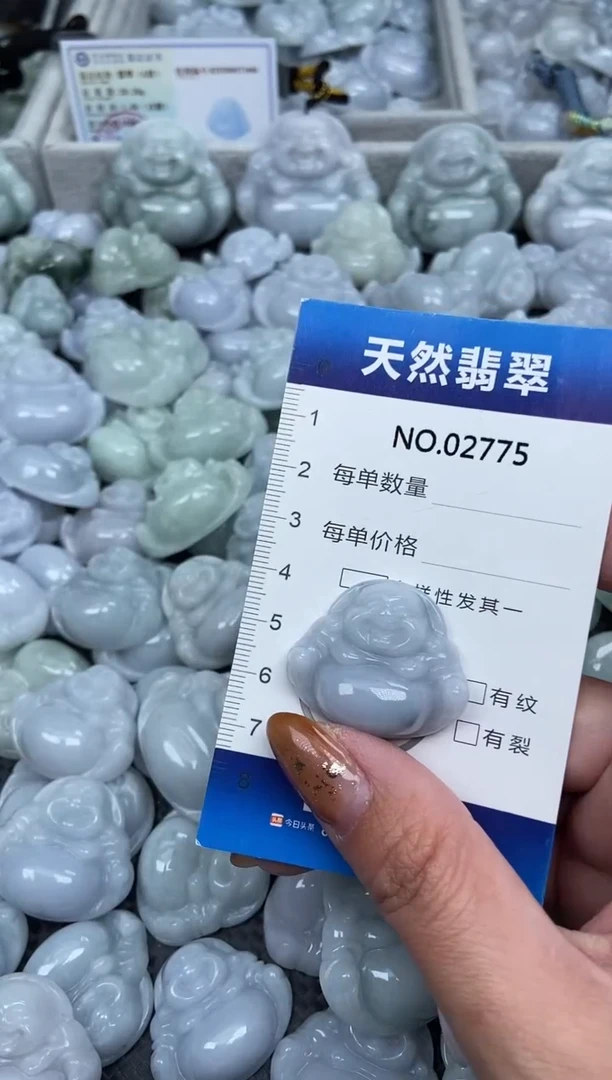 颈饰未镶嵌翡翠纯天然A货翡翠2775