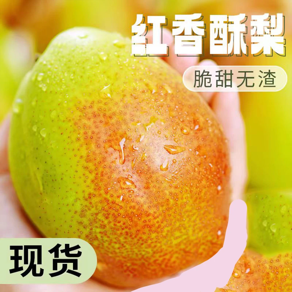 【正宗】山西红香酥梨产脆甜多汁细腻新鲜水果产地直发整箱包邮