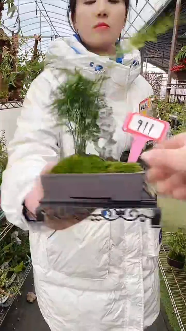 【闪购商品】911