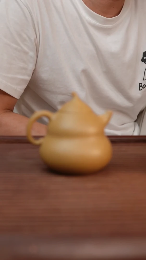 茶壶本山绿泥用****9本绿葫芦