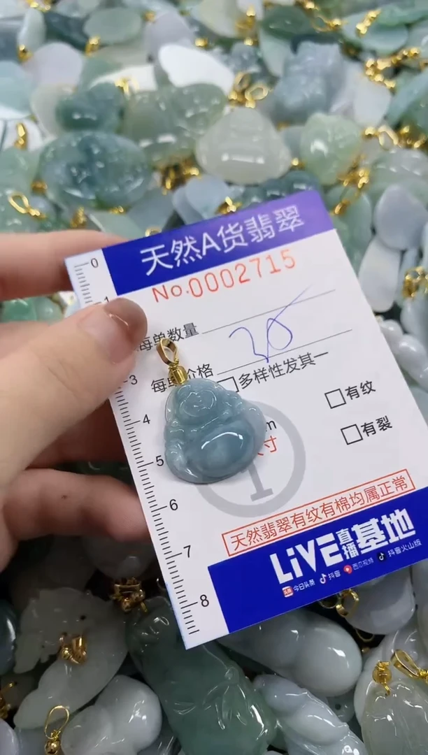 颈饰未镶嵌翡翠天然A货翡翠