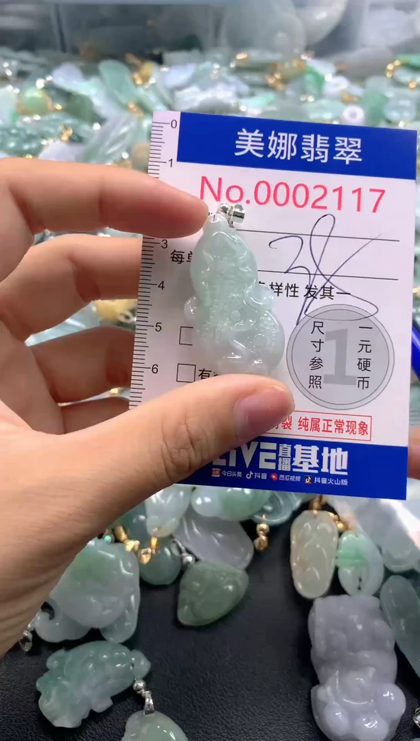 颈饰未镶嵌翡翠2117