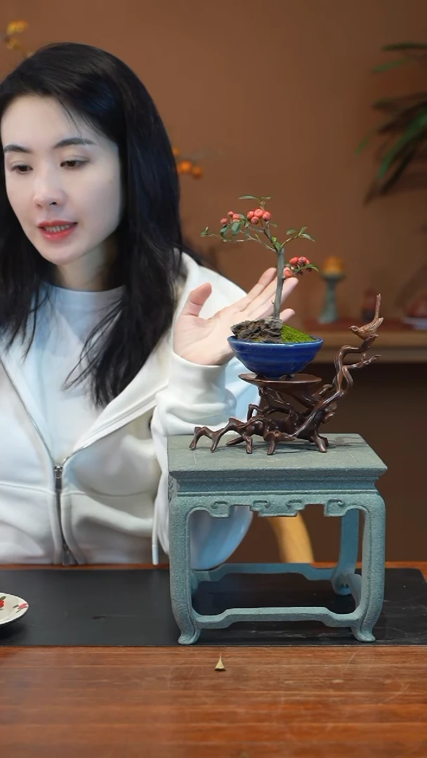 全部花朵小火棘盆景盆景